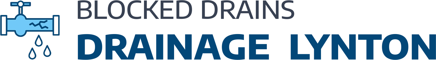 website logo